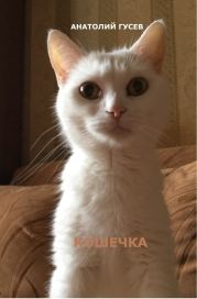 Кошечка