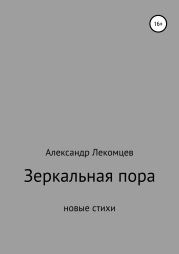 Зеркальная пора