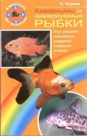 Аквариумы и аквариумные рыбки. Опыт успешного содержания и разведения в домашних условиях