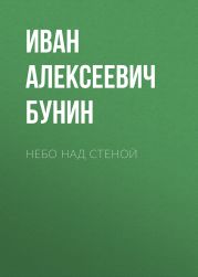 Небо над стеной