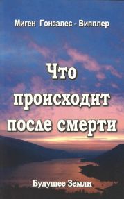 Что происходит после смерти(Научные и личные свидетельства о жизни после смерти)