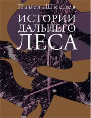 Истории Дальнего Леса