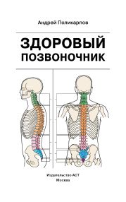 Здоровый позвоночник