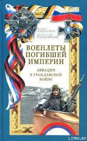 Военлеты погибшей империи. Авиация в Гражданской войне