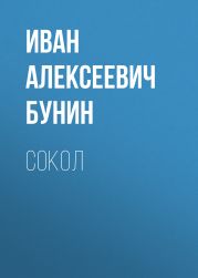 Сокол