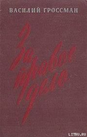 За правое дело (Книга 1)