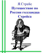 Путешествие по России голландца Стрейса