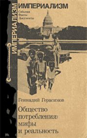 Общество потребления: мифы и реальность.