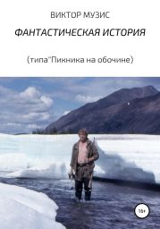 Фантастическая история. Типа «Пикника на обочине»