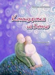 Командировка на Землю