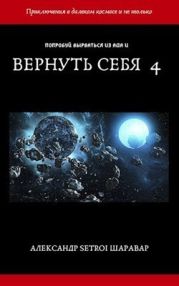 Вернуть себя. Том 4