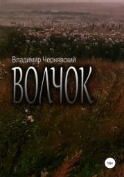 Волчок