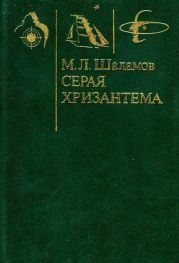 Серая хризантема(Фантастические повести и рассказы)