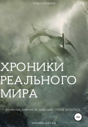 Хроники Реального Мира. Том 4. Индиго