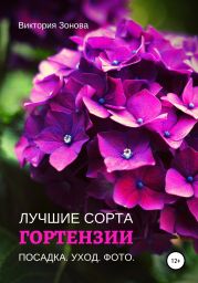 Гортензии. Лучшие сорта