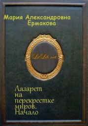 Лазарет на перекрестке миров. Начало