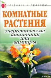 Комнатные растения: энергетические защитники или вампиры