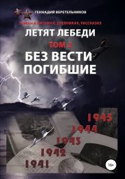 Летят Лебеди. Том 2. Без вести погибшие