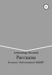 Рассказы из цикла: «Мой позывной Леший»