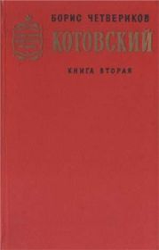 Котовский. Книга 2. Эстафета жизни