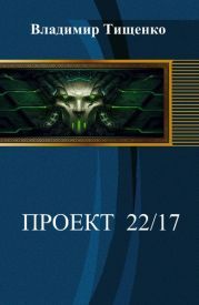 Проект 22-17