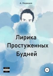 Лирика Простуженных Будней