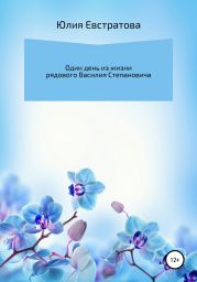 Один день из жизни рядового Василия Степановича