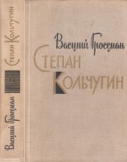 Степан Кольчугин. Книга вторая