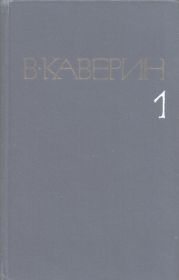 Скандалист, или вечера на Васильевском острове