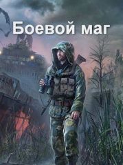 Боевой маг