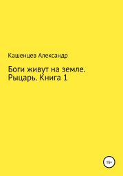 Боги живут на земле. Рыцарь. Книга 1