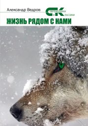 Жизнь рядом с нами