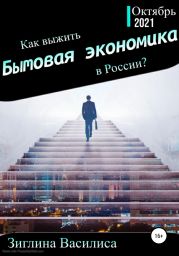 Как выжить в России? Бытовая экономика