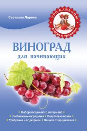 Виноград для начинающих