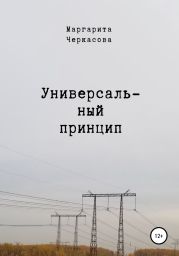 Универсальныи? принцип