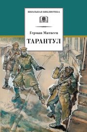 Тарантул (илл. Н. Кочергина)