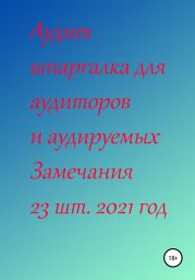 Аудит шпаргалка для аудиторов и аудируемых. Замечания 23 шт. за 2021 год