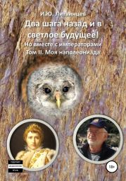 Два шага назад и в светлое будущее! Но вместе с императорами. Том II. Моя наполеониада