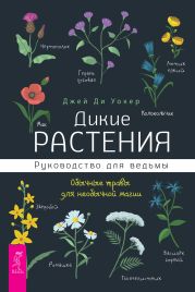 Дикие растения. Руководство для ведьмы. Обычные травы для необычной магии