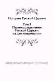 История русской Церкви. Том 5