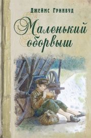 Маленький оборвыш (др. перевод)