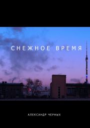 Снежное время