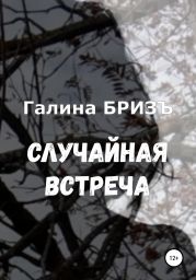 Случайная встреча