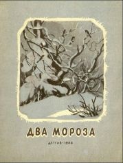 Два мороза