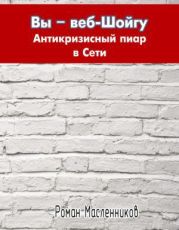 Вы - веб-Шойгу. Антикризисный пиар в Сети