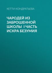 Чародей из заброшенной школы I часть Искра Безумия