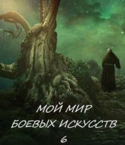 Мой мир боевых искусств 6