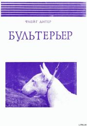 Бультерьер