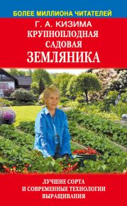 Крупноплодная садовая земляника. Лучшие сорта и современные технологии выращивания