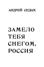 Замело тебя снегом, Россия